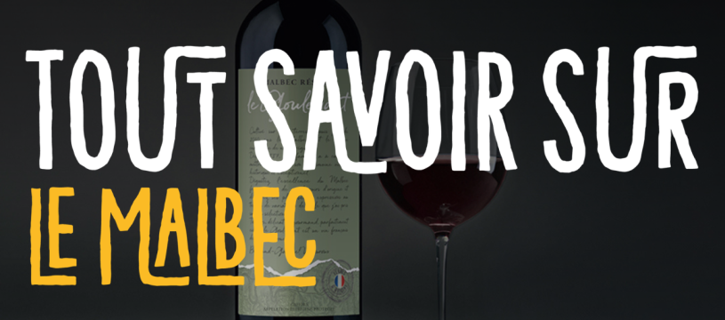 Tout savoir sur le Malbec